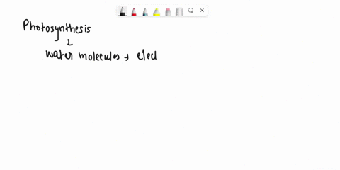 where-do-the-clectrons-in-nadph-that-are-used-t0-reduce-co2-to-sugar-during-photosynthesis-uleimacely-come-from-from-0-h2o-iight-carbohydrates-42984