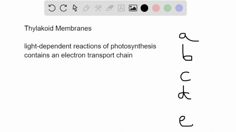 the-function-of-the-thylakoid-membrane-is-most-similar-to-that-of-tha-of-the-mitochondria_-inner-membrane-outer-membrane-matrix-intermembrane-space-plasma-membrane-82737