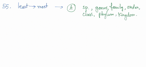 hcaroiclsysten-bological-classilication-established-by-unnacus-and-still-in-usc-fadjy-the-crder-0f-caterories-tom-least-mdst-speclalzed-mnost-least-speciallzed-species-kenus-family-order-cla-73467