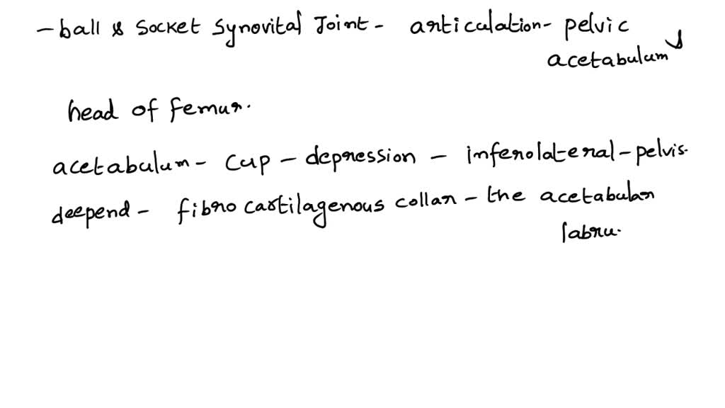 SOLVED The description "Articular surfaces deep and secure; capsule