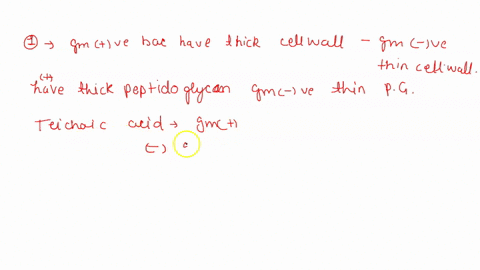 a-gram-positive-and-gram-negative-bacteria-are-characterized-by-difference-in-the-cell-wall-gram-positive-have-a-thick-layer-of-peptidoglycan-and-gram-negative-have-a-thin-layer-of-peptidogl-00165