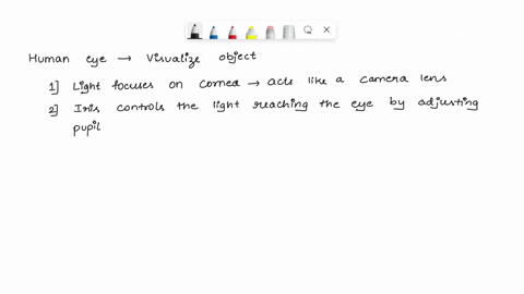 describe-the-process-involved-when-the-human-eye-views-an-object-66946