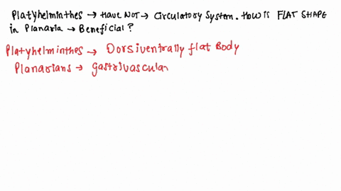 members-of-the-phylum-platyhelminthes-have-not-developed-a-circulatory-system-how-is-the-flat-shape-of-the-planarian-beneficial-to-its-digestion-excretion-and-respiration-85723