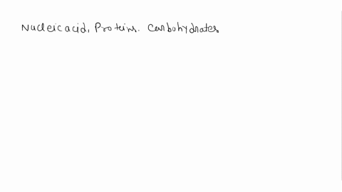 four-major-classes-of-organic-compounds-found-in-living-organisms-are-proteins-carbohydrates-_____-lipids-and-nucleic-acids-sugars-and-fats-saccharides-and-fatty-acids-vitamins-and-minerals-53244