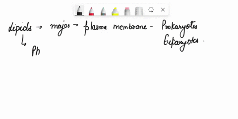 the-plasma-membrane-forms-the-celrs-flexible-outer-external-environment-surjace-separating-the-cell-interna-environment-hrom-draw-phospholipid-bilayer-that-follows-the-fluid-mosalc-model-and-64318