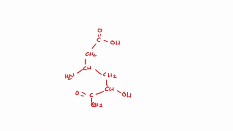 identify-the-highlighted-functional-groups-in-this-molecule-hydroxyl-group-alcohol-oh-amino-group-amine-chz-ch-han-chz-ch-oh-ketone-o_-esler-ch-answer-bank-carboxyl-group-carboxylic-acid-ald-90715