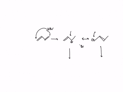 give-the-structures-of-both-12-and-14-adducts-resulting-from-reaction-of-1-equivalent-of-hbr-with-2-57829