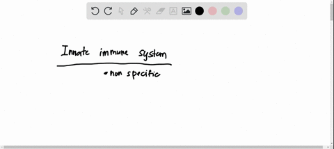 several-different-cells-and-molecules-are-listed-below-which-are-primarily-components-of-the-innate-immune-system-select-all-that-apply-a-complement-proteins-b-toll-like-receptors-c-macropha-49709