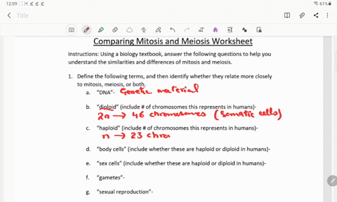 comparing-mitosis-and-meiosis-worksheet-instructions-using-biology-textbook-answer-the-following-questions-to-help-you-understand-the-similarities-and-differences-of-mitosis-and-meiosis-defi-54474