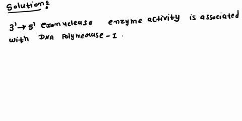 which-enzyme-activity-is-associated-with-dna-polymerase-i-group-of-answer-choices-a-5-to-3-exonuclease-b-3-to-5-exonuclease-c-5-to-3-polymerase-both-b-and-c-all-of-the-above-07715
