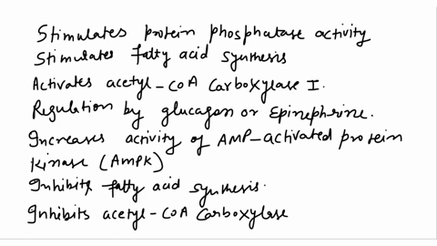 the-key-enzyme-in-the-regulation-of-fatty-acid-synthesis-is-protein-phosphatase-b-amp-activated-proteinkinase-none-of-these-d_-acetyl-coa-carboxylase-84228