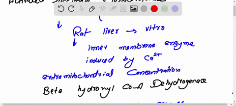 coggan-et-al-2011-describe-increases-in-activity-of-the-enzymes-succinate-dehydrogenase-citrate-synthase-and-beta-hydroxyacyl-coa-hydrogenase-in-their-test-subjects-why-do-they-exhibit-these-64816
