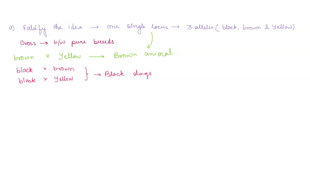 Solved This Figure Represents The Following Evolutionary Concept African Elephant Asian