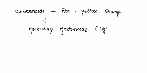 question-4-1-pts-the-role-of-pigments-why-are-carotenoids-considered-accessory-pigments-why-is-that-a-bad-term-for-them-a-light-absorbed-by-carotenoids-is-not-used-for-photosynthesis-caroten-43709