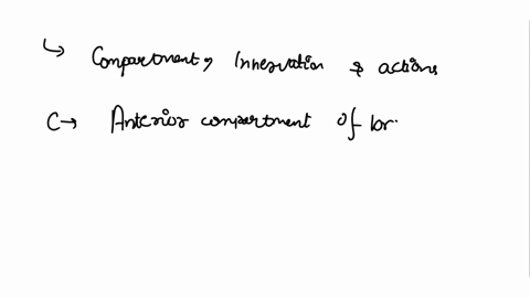 the-acronym-cia-stands-for-compartment-innervation-and-action-for-a-muscle-which-of-the-following-is-the-cia-for-the-coracobrachialis-muscle-anterior-compartment-of-the-brachium-i-musculocut-51434