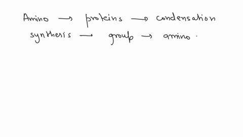 what-type-of-reaction-happens-when-amino-acids-combine-to-form-proteins-and-water-is-released-57485