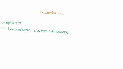 examine-the-following-micrograph-of-a-bacterial-cell-which-type-of-microscopy-was-used-to-take-this-picture-250nm-select-one-dark-field-of-a-thin-section-b-phase-contrast-of-a-whole-specimen-53329