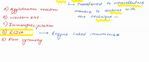method-used-0-identify-the-presence-of-a-given-protein-in-a-cell-lysate-the-cell-protein-iysate-is-run-on-sds-page-and-then-transferred-t0-nitrocellulose-membrane-t0-continue-with-the-techni-18442