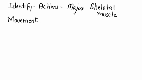 identify-the-actions-of-the-major-skeletal-muscles-of-each-body-region-80524