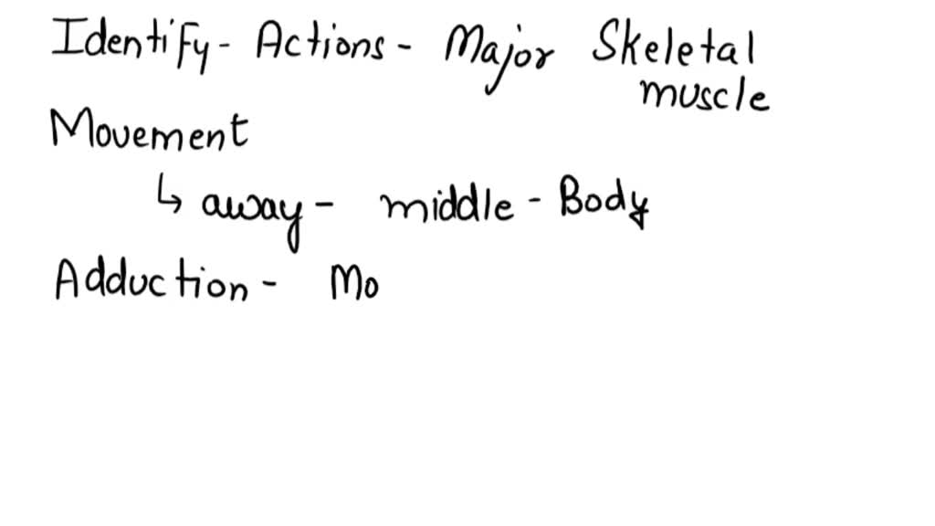 SOLVED Highlight and name the origin and insertion areas for the