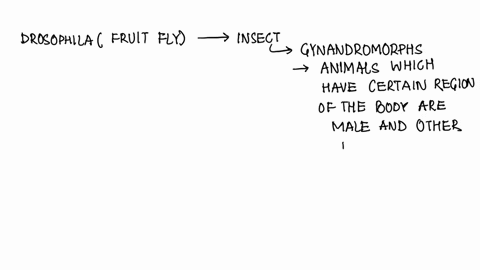 because-of-their-number-of-x-chromosomes-male-fruit-flies-are-considered-to-be-carriers-of-genetic-diseases-less-able-to-adapt-to-changes-in-the-environment-hemizygotes-only-partially-femini-11213