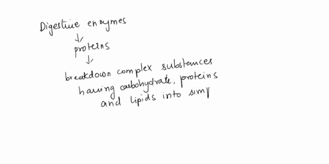what-are-digestive-enzymes-give-three-examples-of-digestive-enzymes-and-briefly-describe-their-specific-functions-30403