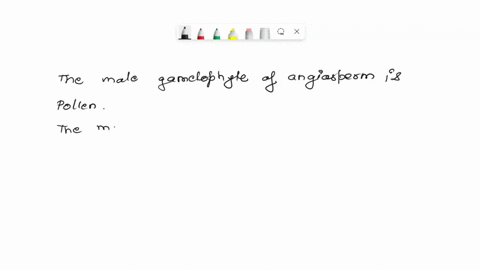 the-mature-male-gametophyte-in-angiosperm-is-represented-by-a-pollen-grain-b-germinating-pollen-grainc-embryo-sac-d-anther-09268