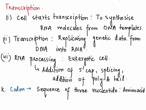transcription-why-would-cell-initiate-the-process-of-transcription-describe-the-process-of-transcription-what-happens-dpring-rna-processing-of-mrna-define-codon_-anti-codon-transcription-tra-73345