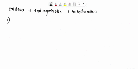 which-2-pieces-of-evidence-supports-the-endosymbiotic-theory-for-the-origin-of-mitochondria-and-chloroplasts-78292