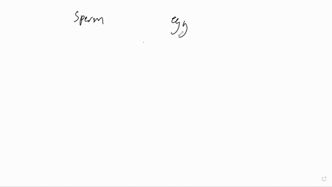 1-describe-from-fertilization-the-major-pathways-of-normal-male-sex-development-include-the-stages-in-which-genetic-sex-gonadal-sex-and-phenotypic-sex-are-determined-2-discuss-whether-the-fo-20668