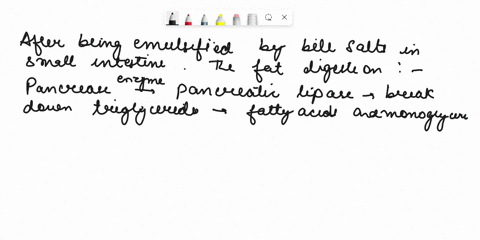 list-draw-or-describe-the-patway-of-fat-digestion-from-the-small-intestine-to-the-lymph-include-the-digestive-secretions-that-help-break-down-the-fat-and-what-happens-in-the-cell-of-the-smal-00517