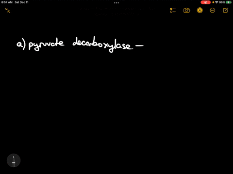 to-what-classes-do-the-following-enzymes-belong-a-pyruvate-decarboxylase-b-ckymotrypsin-c-alcohol-de-51627