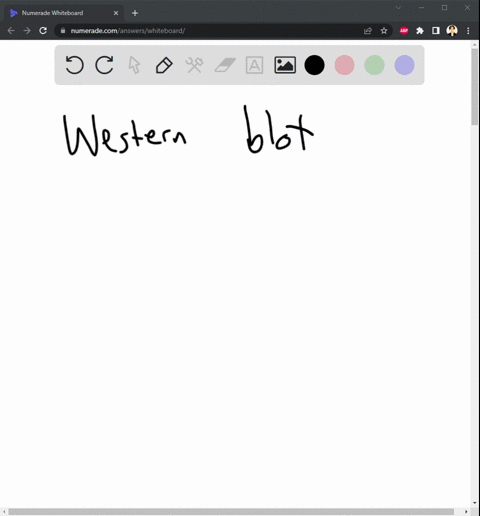 why-was-it-important-to-perform-the-bloodwork-how-does-that-information-differ-from-the-information-given-in-the-western-blot-99393