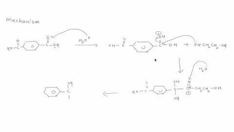 please-design-all-process-related-preparing-polyethylene-terephthalate-pet-boutle-plastic-material-step-by-step-according-to-given-below-in-details-which-mononers-use-show-that-the-polymeriz-71657