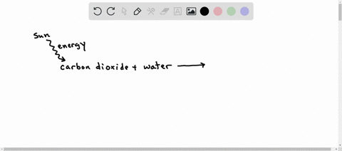 which-products-result-from-the-process-of-photosynthesis-check-all-that-apply-water-energy-glucose-oxygen-nitrogen-carbon-dioxide-78625
