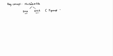 choose-all-that-apply-carbohydrates-contain-the-following-elements-48485
