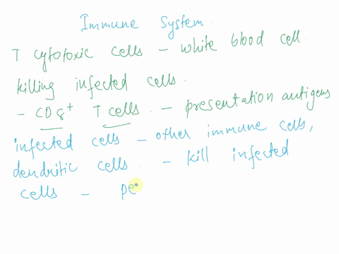 1-a-drug-designed-to-stimulate-the-immune-system-of-immunocompromised-patients-called-slaughter-works-by-increasing-the-production-of-cd8-t-cells-if-the-immune-system-become-activated-by-an-66633