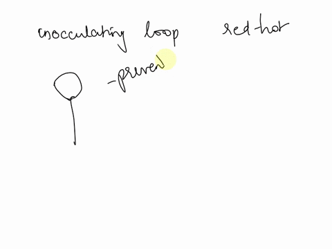 an-inoculating-loop-must-be-flamed-to-uniform-orange-hot-from-base-to-tip-a-after-culture-is-transferred-to-the-wire-loop-but-before-transfer-to-new-media-b-before-culture-is-transferred-to-81928
