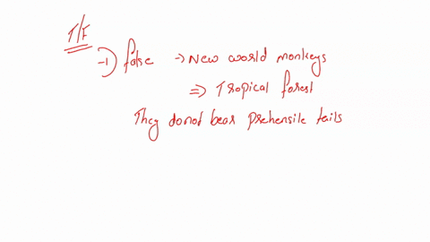 true-or-false-1-all-species-of-new-world-monkeys-have-prehensile-tails-2-all-species-of-new-world-monkeys-are-primarily-arboreal-quadrupeds-3-not-all-of-the-prosimian-species-are-nocturnal-37056