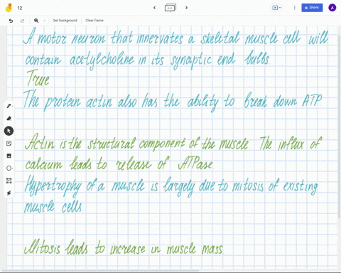 moving-to-another-question-will-save-this-response-question-12-a-motor-neuron-that-innervates-a-skeletal-muscle-cell-will-contain-acetylcholine-in-its-synaptic-end-bulbs-true-false-moving-to-85947
