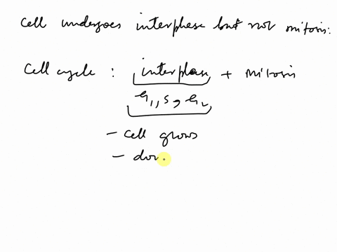 describe-what-will-happen-to-a-cell-if-interphase-happens-but-mitosis-does-not-05676