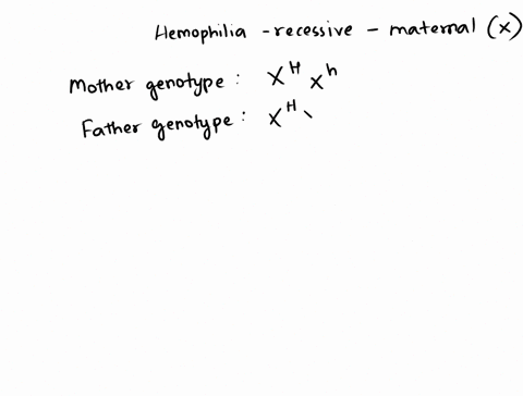 hemophilia-is-a-hereditary-disease-that-prevents-a-persons-blood-from-clotting-correcty-the-gene-responsible-for-blood-clotting-is-located-on-the-x-chromosome-of-the-sex-chromosome-pair-x-an-48992