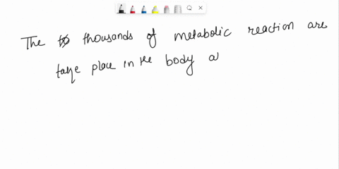 all-metabolic-systems-do-not-operate-at-the-same-time-orre-ofalse-59508