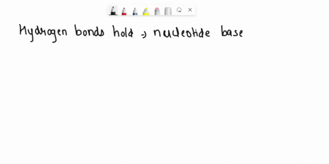 what-holds-the-nucleotides-together-in-dna-phosphate-group-hydrogen-bonds-sugar-base-the-backbone-dna-molecule-refers-to-its-vertebral-spine-nucleotide-base-parings-and-t-and-hydrogen-bonds-83783