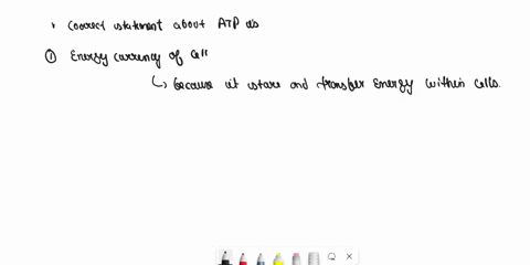 question-4-1-pts-what-is-atp-select-all-that-apply-energy-currency-of-the-cell-one-of-the-largest-molecules-in-the-cell-monomer-of-carbohydrates-monomer-of-nucleic-acids-14859