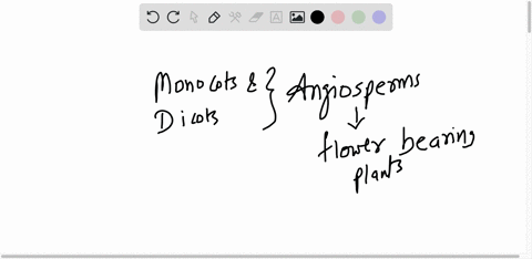which-of-the-following-is-not-correct-monocots-have-parallel-veins-net-velns-one-cotyledon-two-cotyledons-flowers-no-flowers-while-dicots-have-85896
