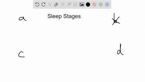 the-sleep-stage-marked-by-irregular-breathing-eye-movements-high-frequency-brain-waves-and-dreaming-77565