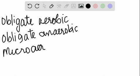 which-of-the-following-classes-of-bacteria-would-most-likely-produce-catalase-obligate-aerobic-obligate-anaerobic-microaerophilic-or-facultative-anaerobic-00186