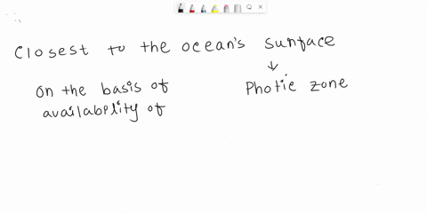 which-ocean-zone-is-the-closest-to-the-oceans-surface-a-benthic-zone-b-disphotic-zone-c-aphotic-zone-d-photic-zone-38416