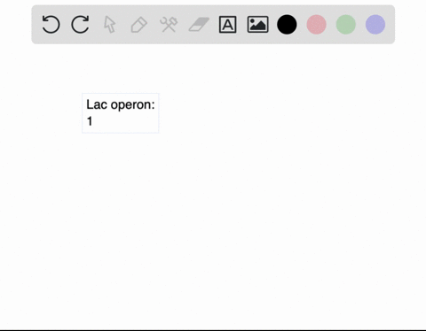 in-the-lac-operon-the-operator-functions-to-bind-the-repressor-and-prevent-lac-gene-expression-prevent-the-repressor-from-binding-and-allow-lac-gene-expression-bind-rna-polymerase-and-block-46123